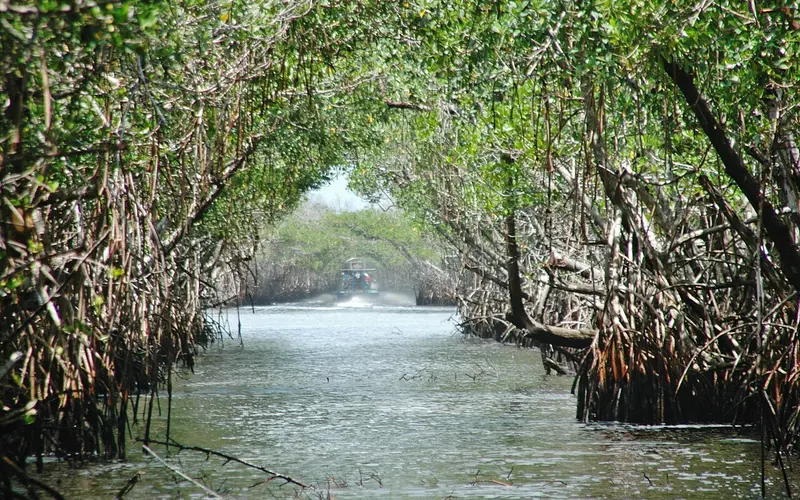 Grassrivers wetlands, official GTA VI artwork